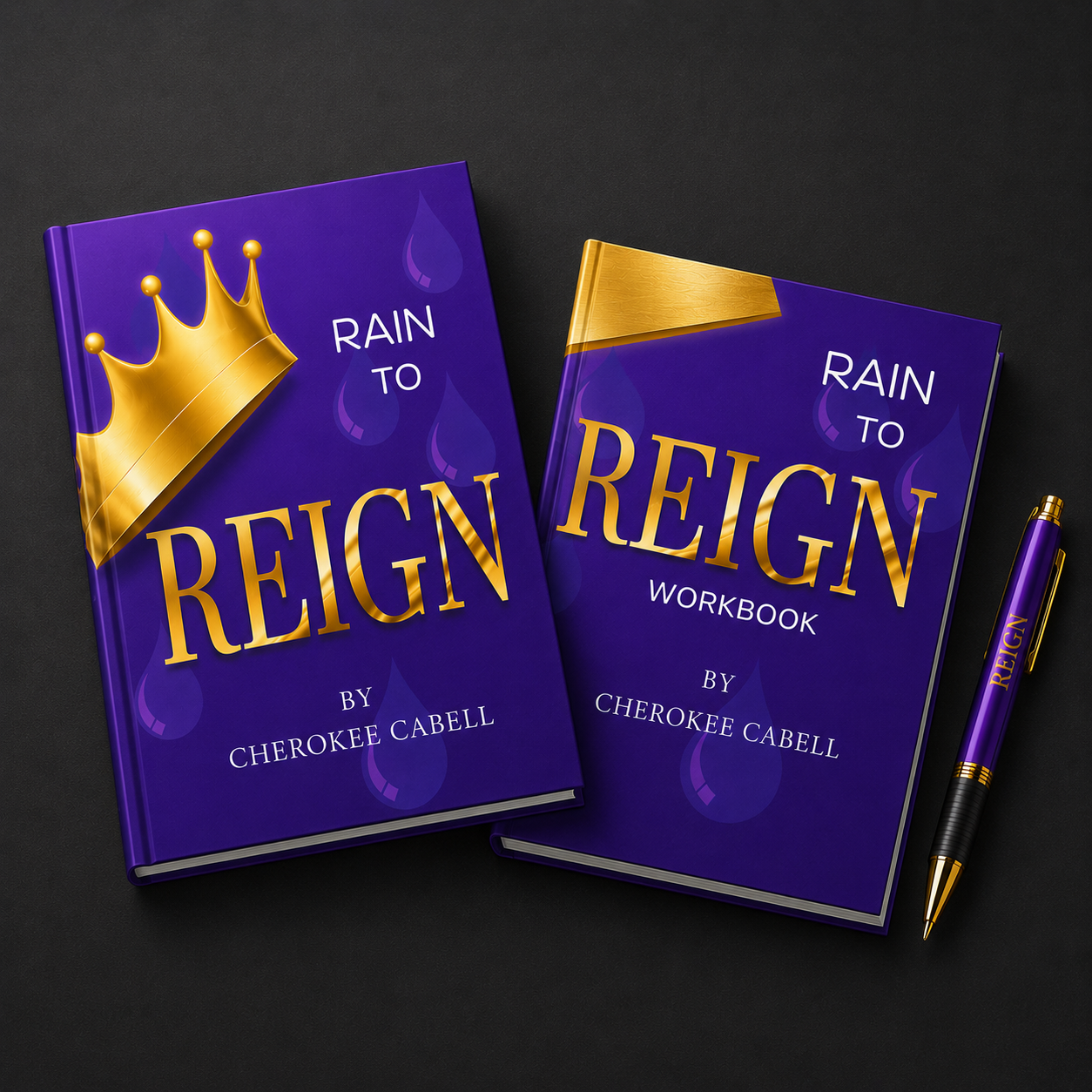 Rain To Reign bundle